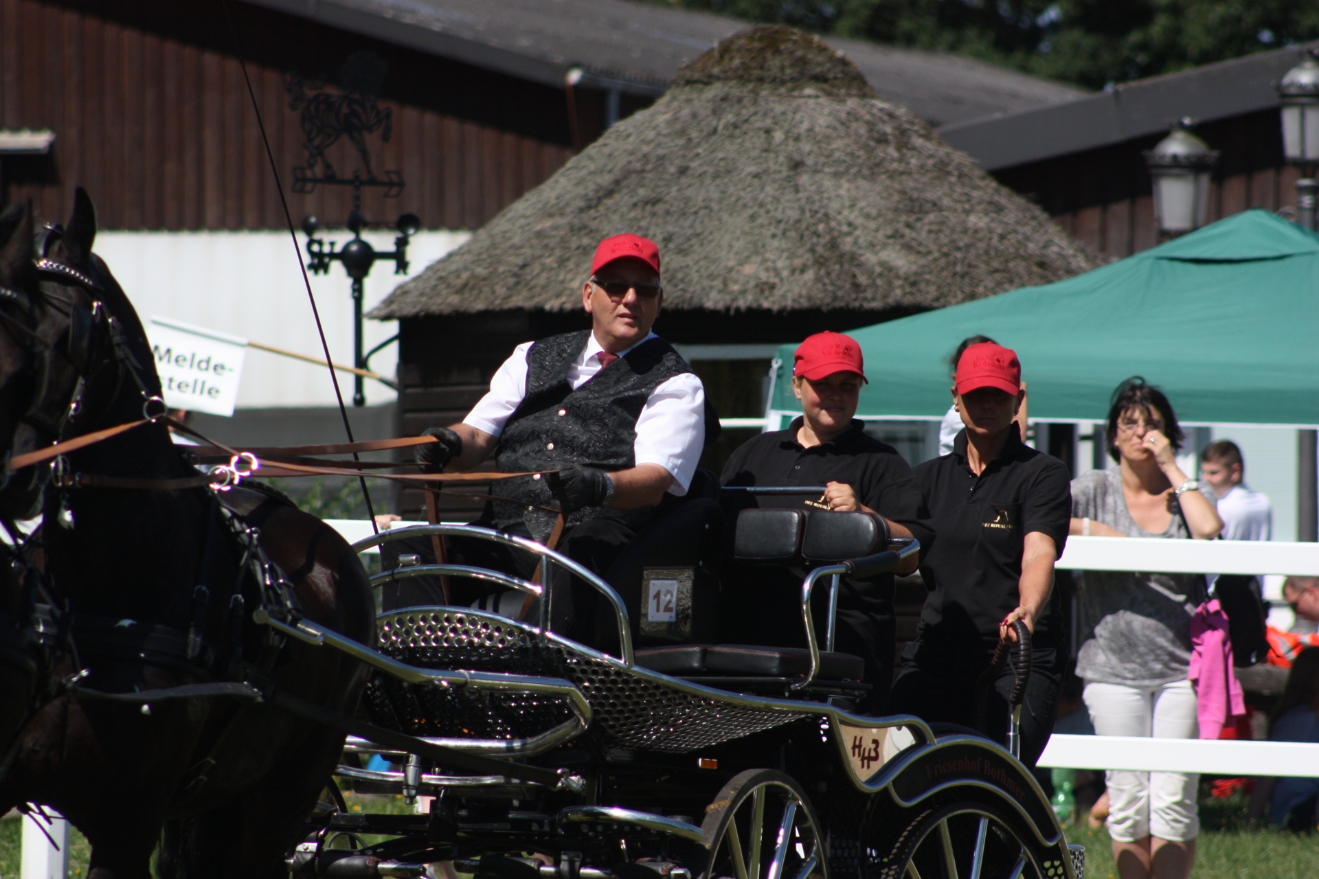 Friesenpferd in Bewegung