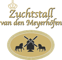 Friesenpferde van den Meyerhoefen